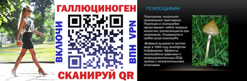 маркетплейс наркотические препараты  Новотитаровская  Галлюциногенные грибы Psilocybine cubensis  наркошоп 